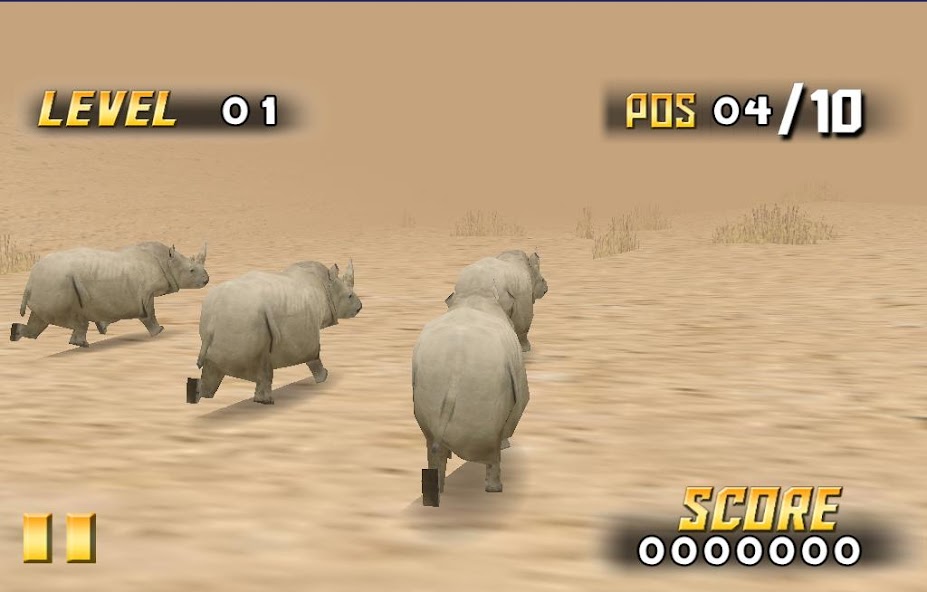 Savanna Race