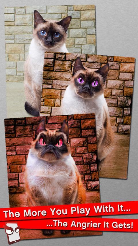 Angry Cat Free!
