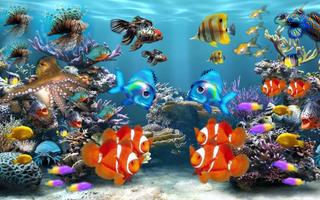 5D Marine Aquarium Theme