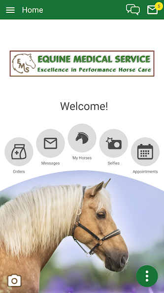Equine Medical Services