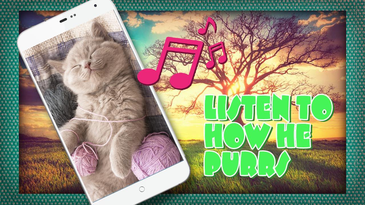 Pat The Relax Cat Simulator