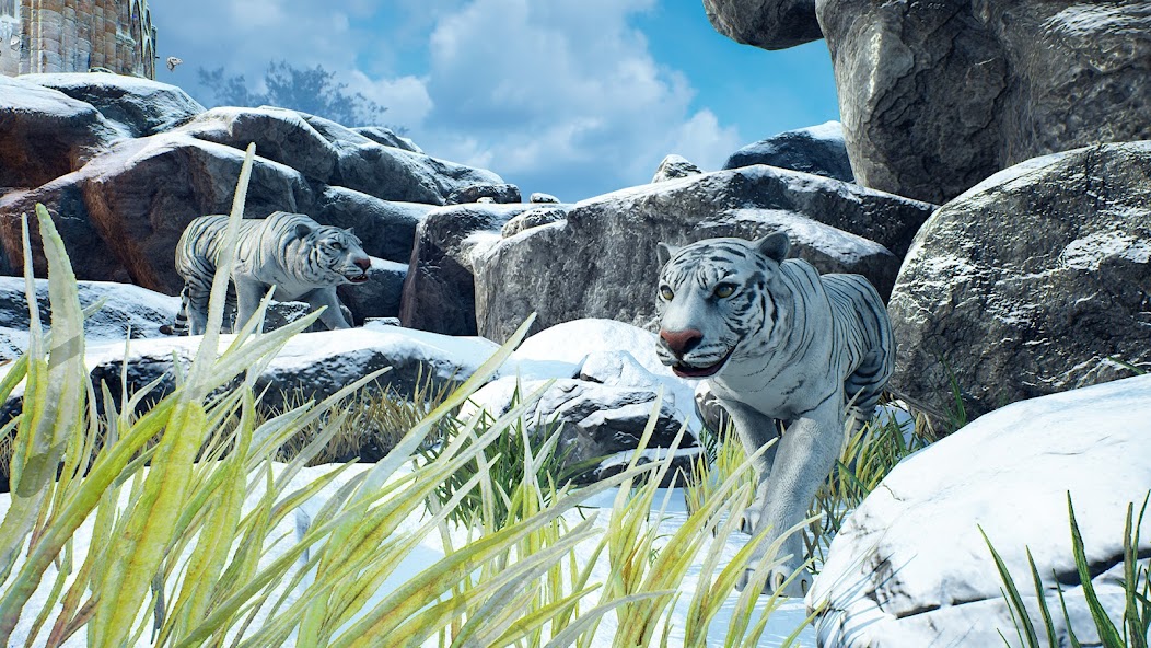 Snow Tiger Game Family Survive