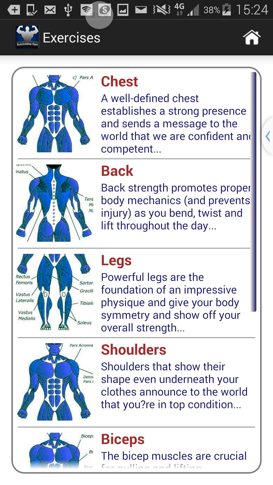 Maximum Muscles Free