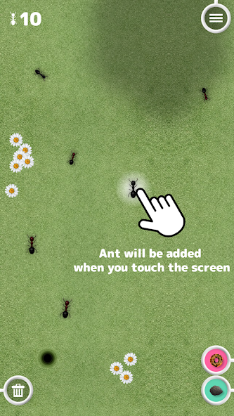 Great Ant Adventure