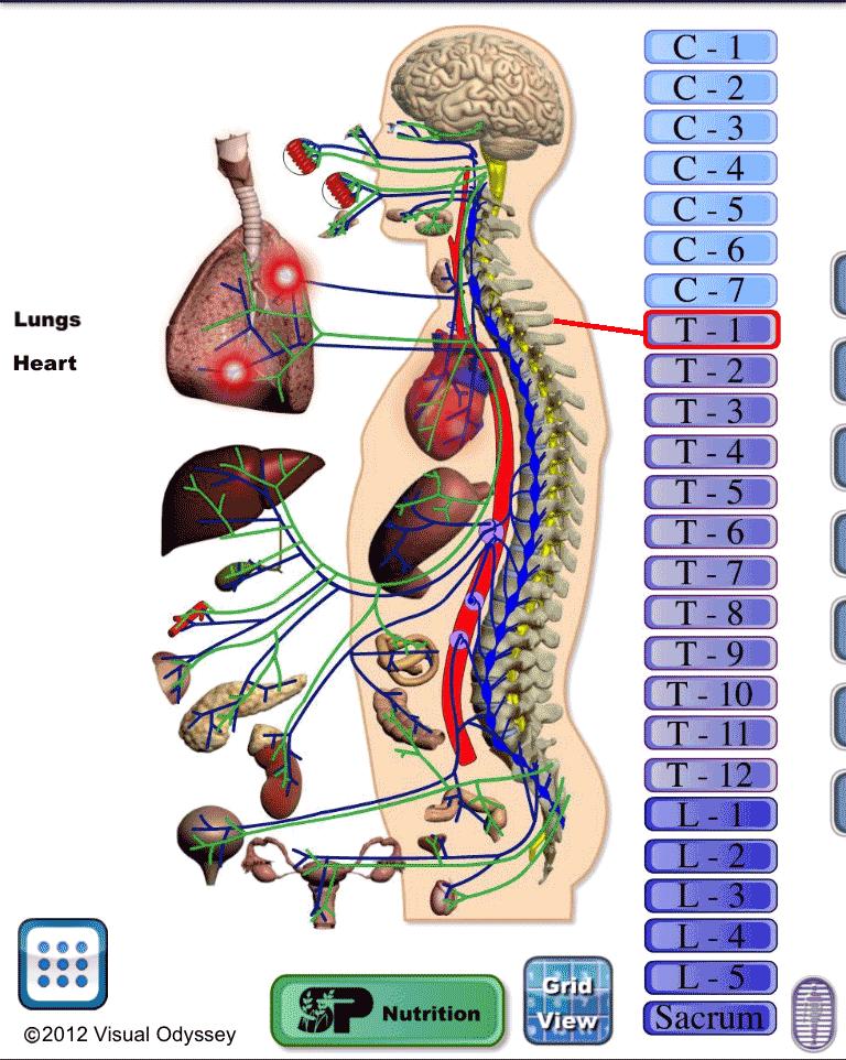 Patholator by Visual Odyssey
