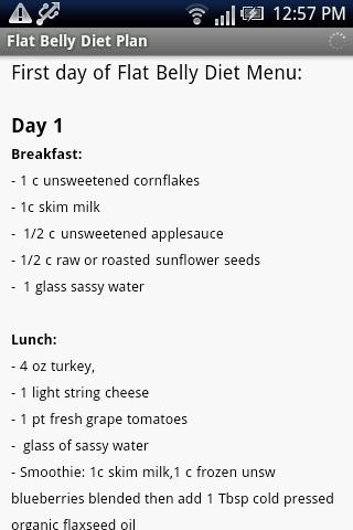 Flat Belly Diet Plan