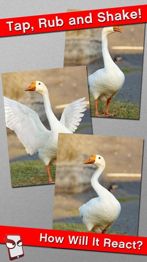 Angry Goose Free!