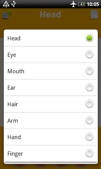 Human Body Parts for Kids