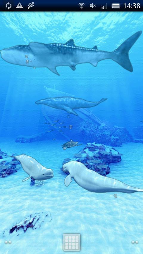 Beluga Whales Friends Trial