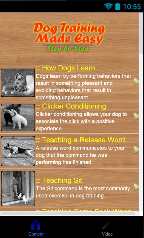 Dog Training Clicker