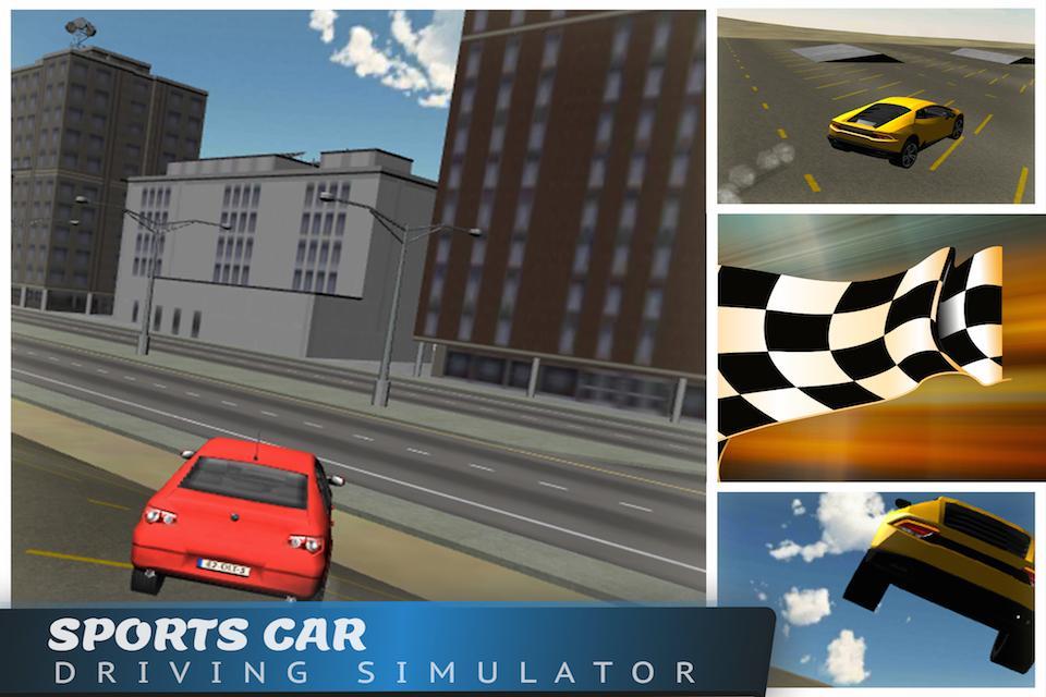Sports Car Driving Simulator