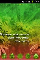 GO Launcher EX Theme Rasta