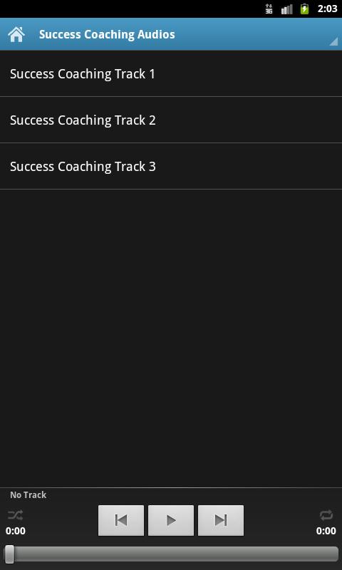 Secrets of Success Audio Book