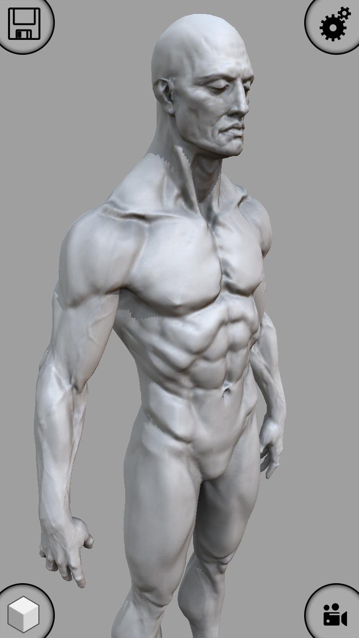 MARA3D Human Anatomy Lite