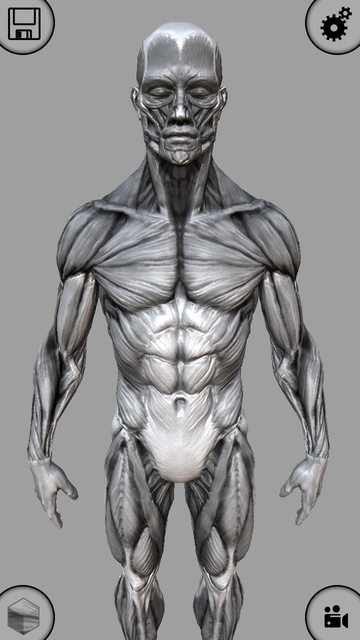 MARA3D Human Anatomy Lite