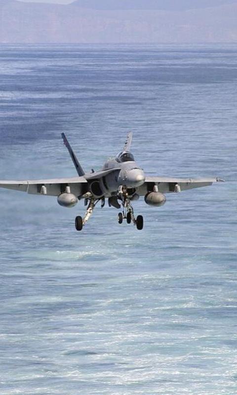 Jigsaw Puzzle F-15 Aircraft