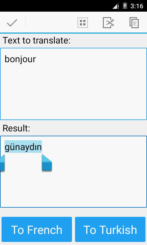 Turkish French Translator