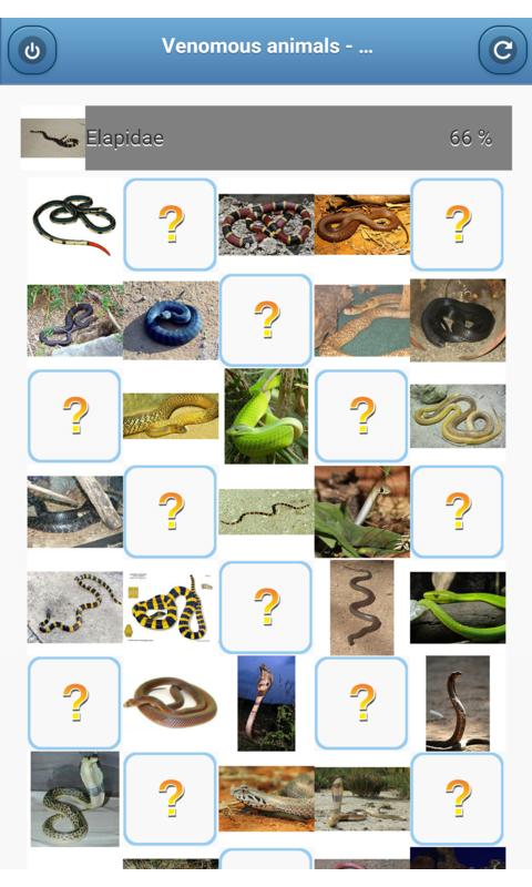 Venomous animals - quiz