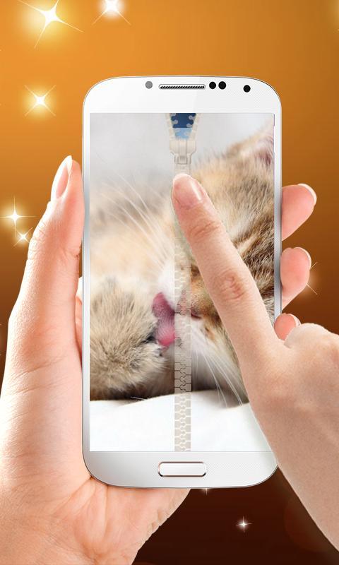 Kitten Zipper Lock