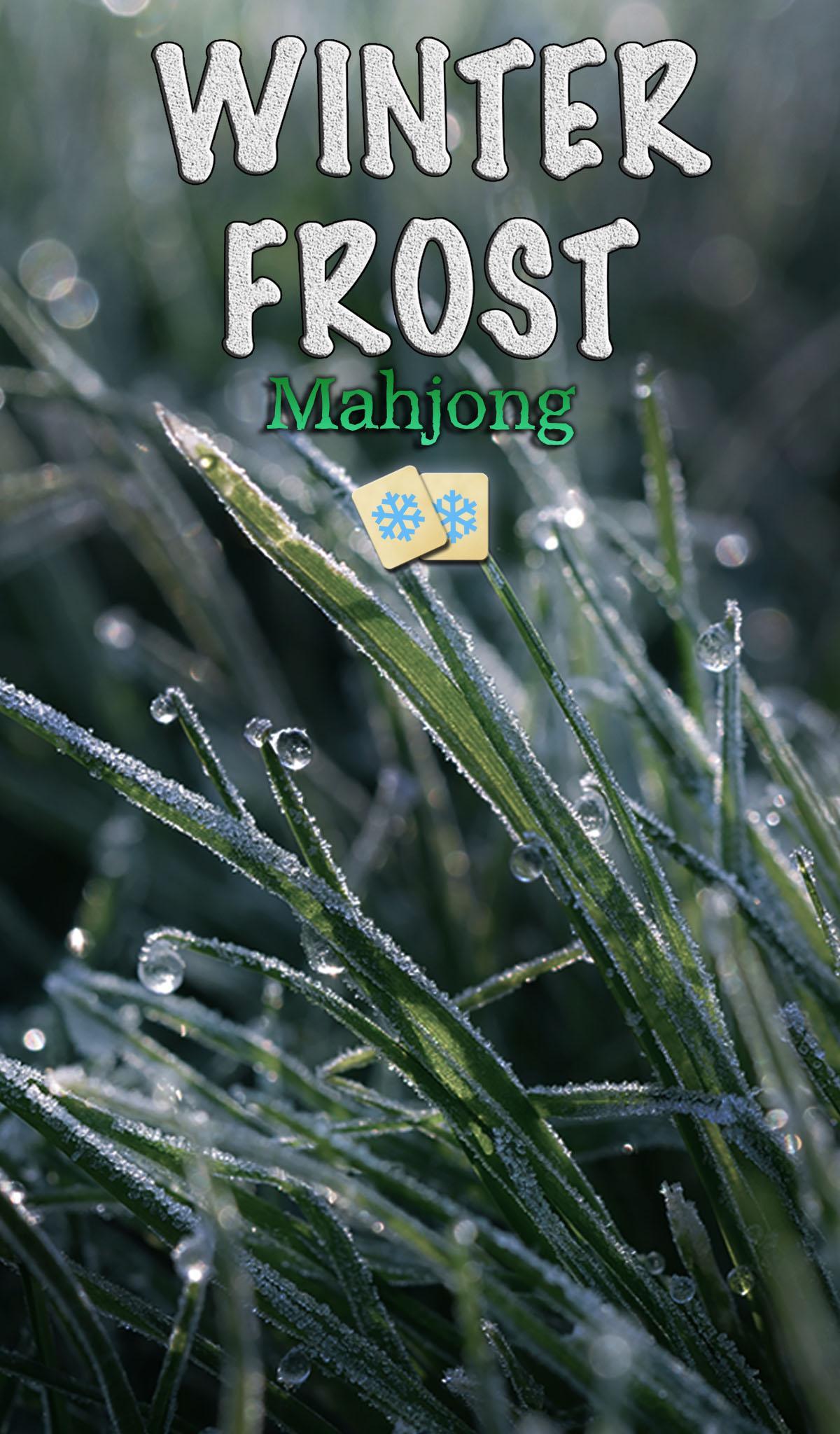 Hidden Mahjong: Winter Frost