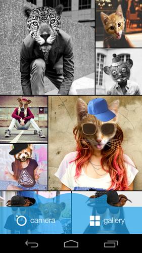 Meow Animal Face Photo Editor