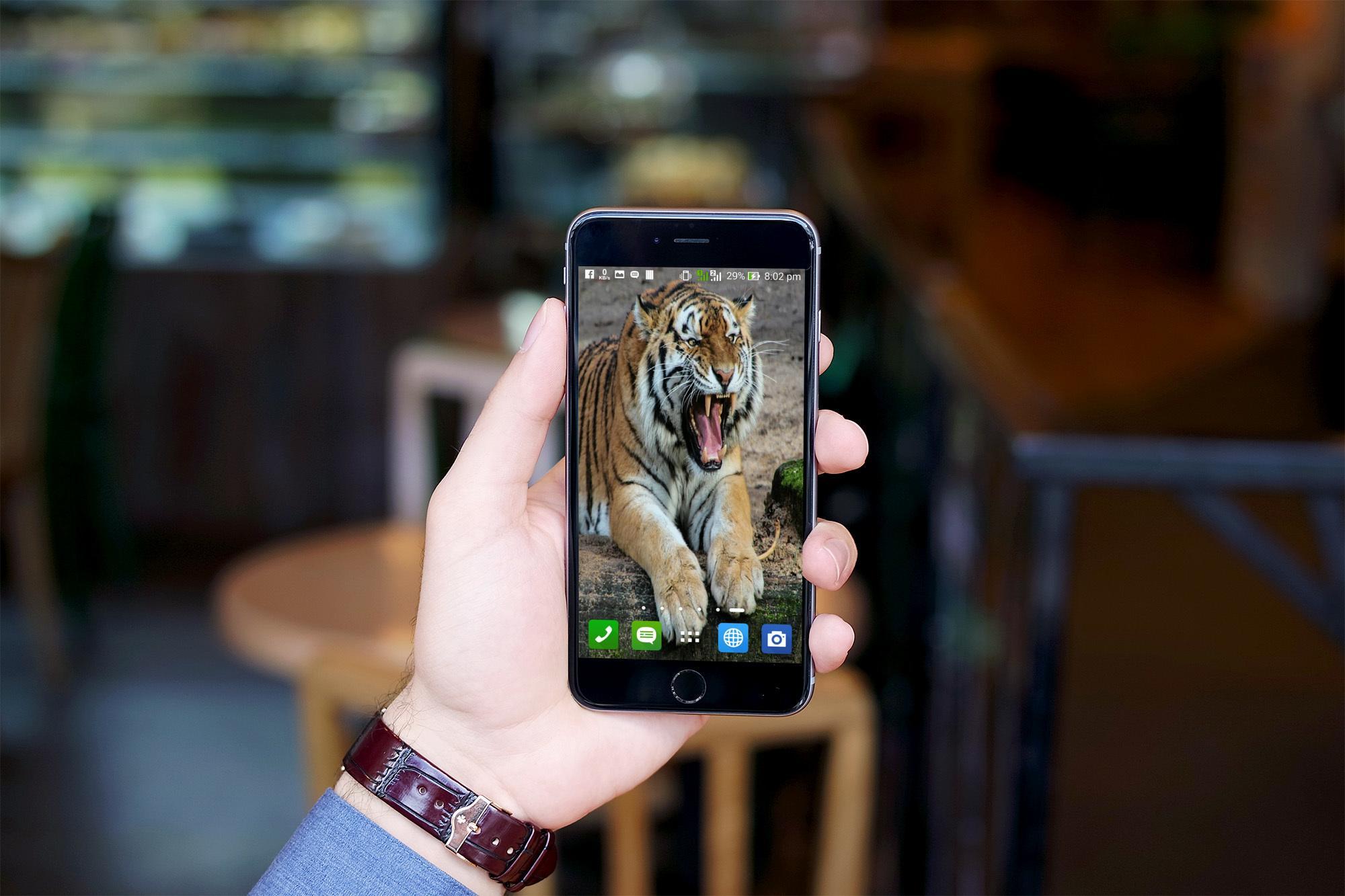 Free Tiger HD Live Wallpaper