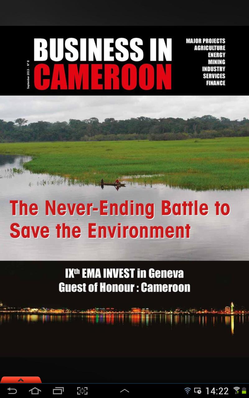 Business In Cameroon