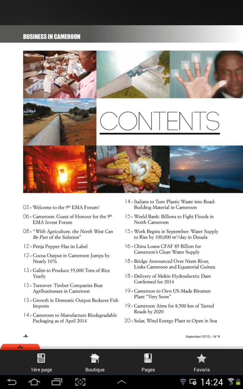 Business In Cameroon