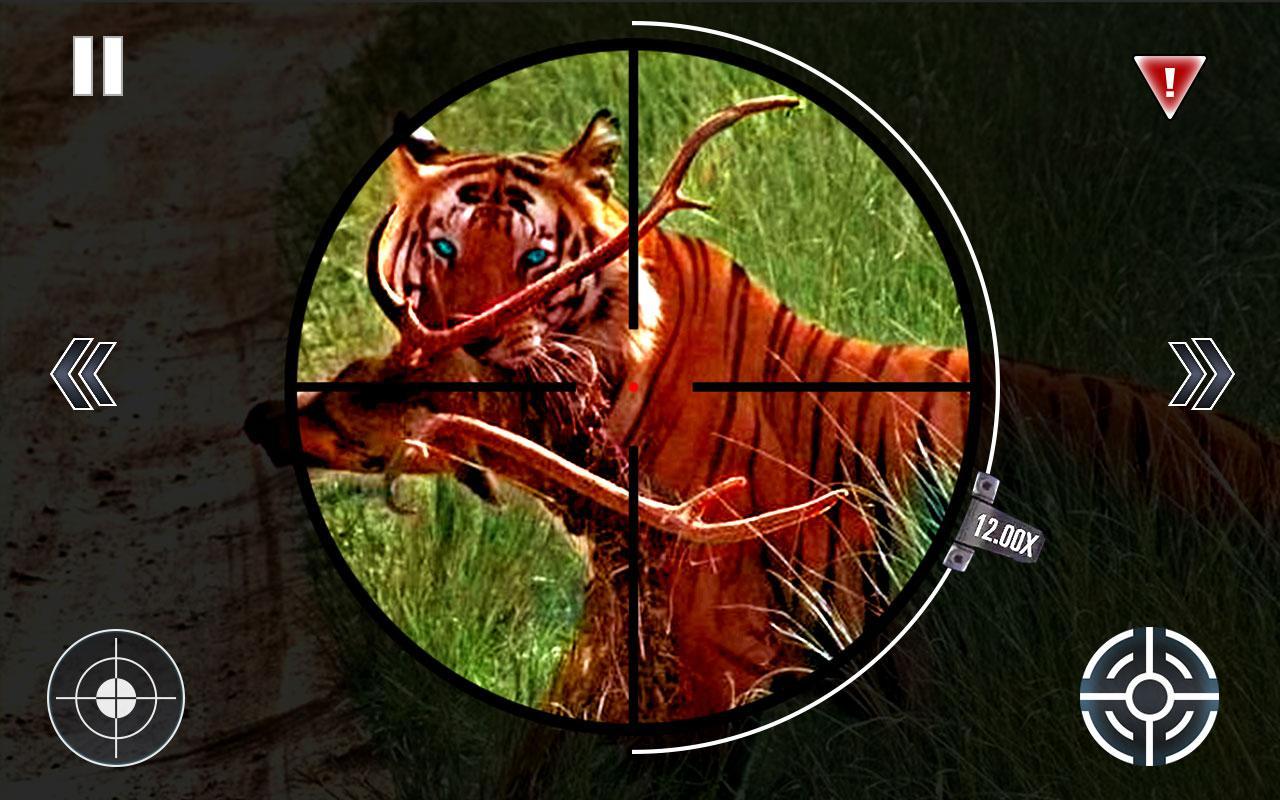 Wild Tiger Hunter 2016
