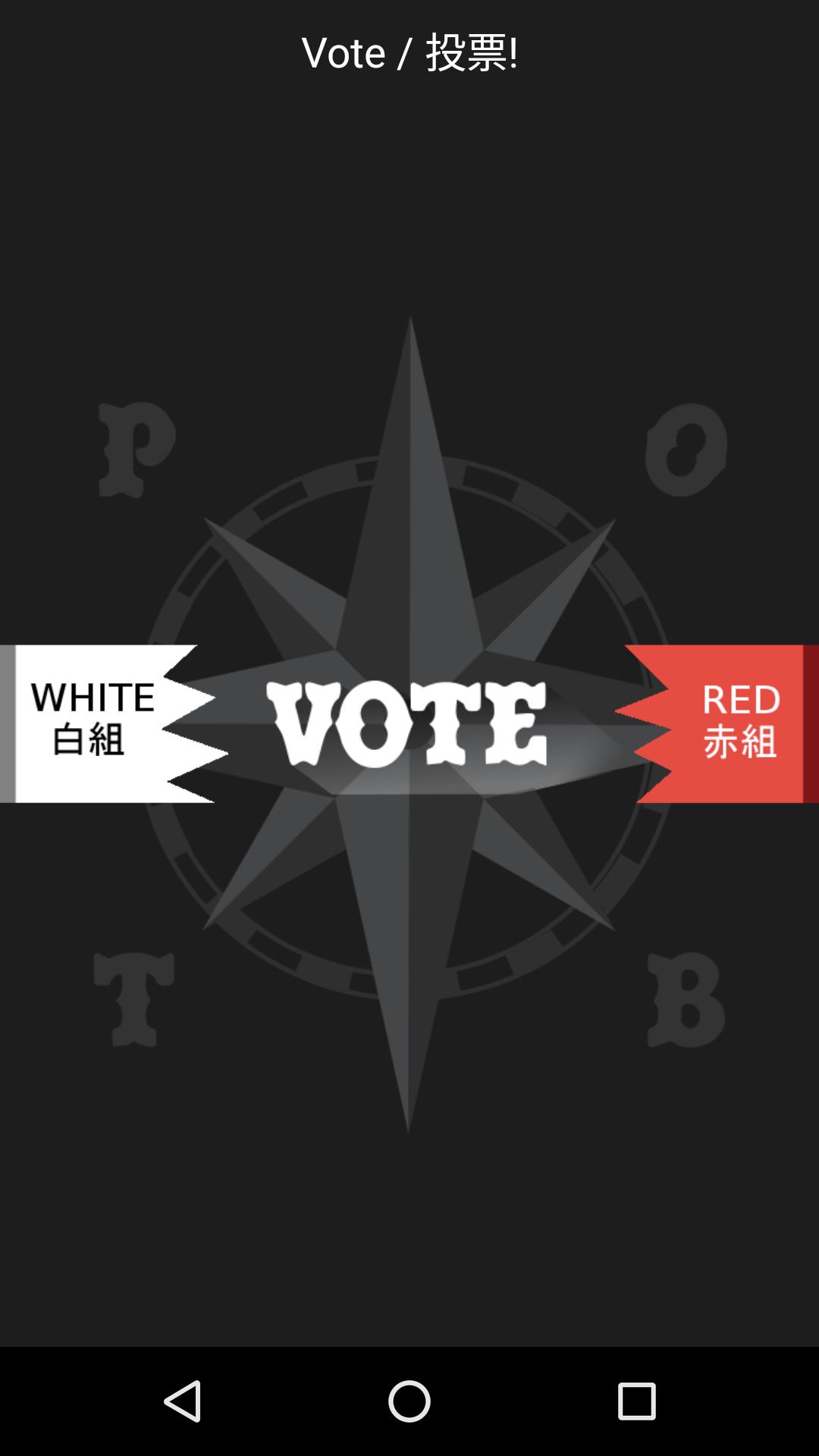 Pirates of Tokyo Bay