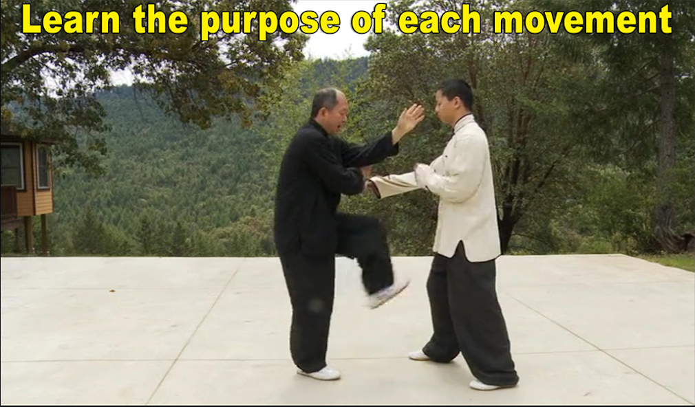 Yang Tai Chi for Beginners 2&3