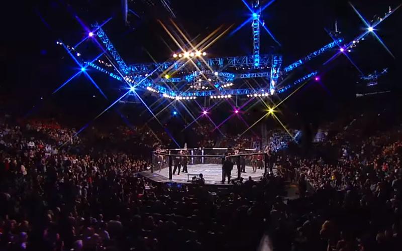 Action: WWE VS UFC Warriors