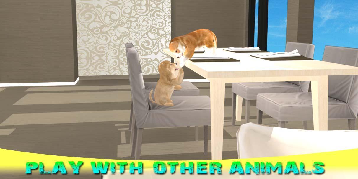 Little Puppy Dog At Home