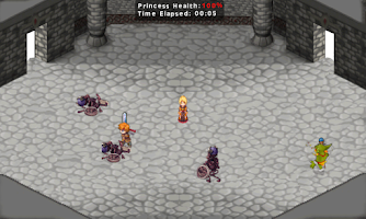 The Princess Guardian