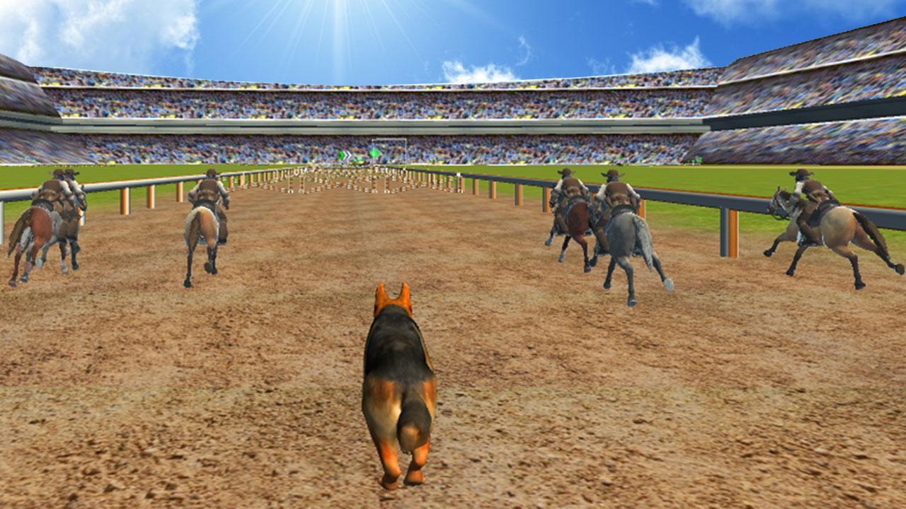 Crazy Dog Racer and Horse Run