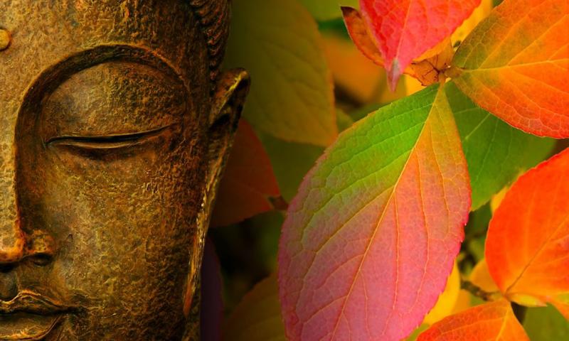 Budda Wallpapers