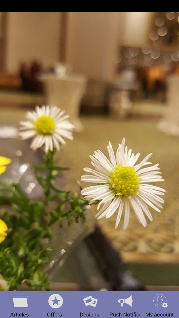 Living Room Ideas & Design - F