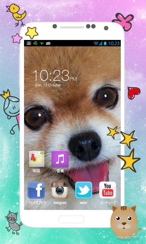 Beautiful Pomeranian images