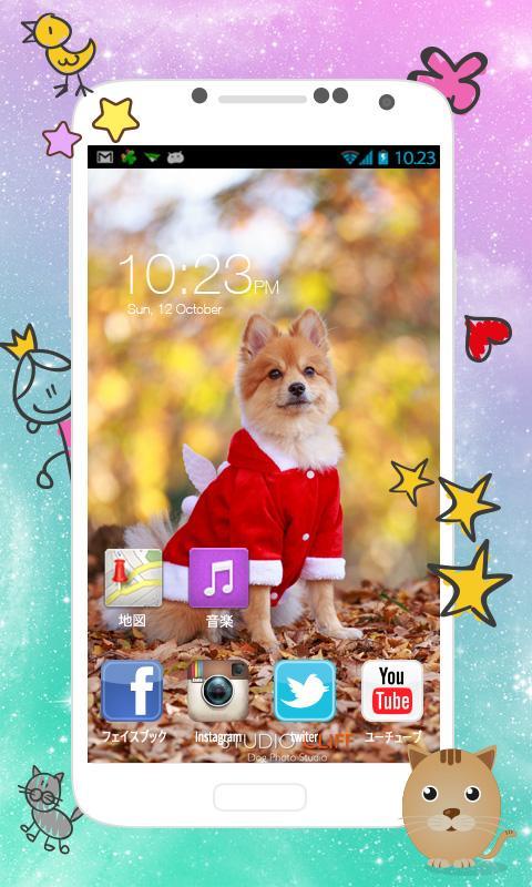 Beautiful Pomeranian images