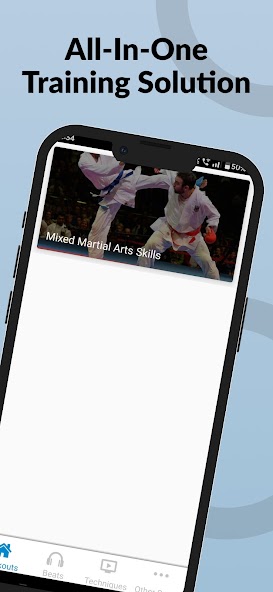 Ultimate MMA Fighting Program