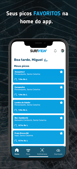 SurfView