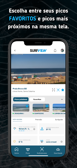 SurfView