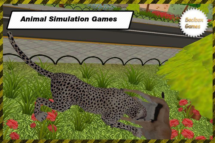 Wild Leopar Simulation