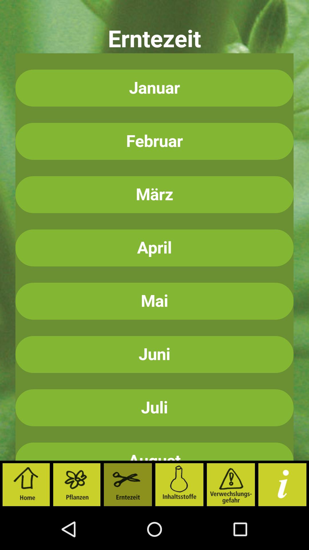 Essbare Wildpflanzen Lite