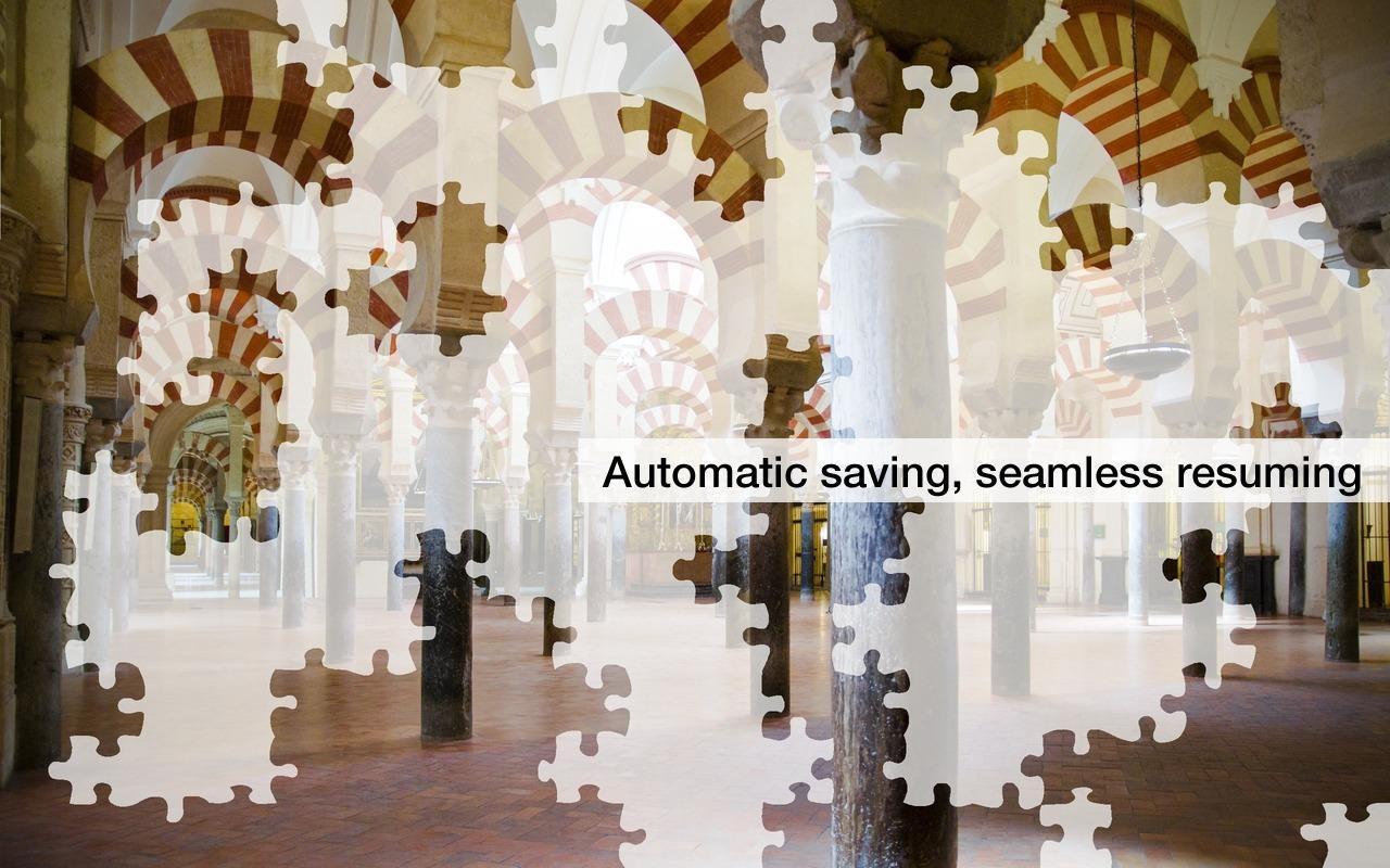 Jigsaw Puzzles: Amazing