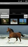 Horse Wallpaper