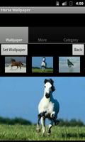 Horse Wallpaper