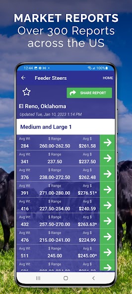 Cattle Market Mobile