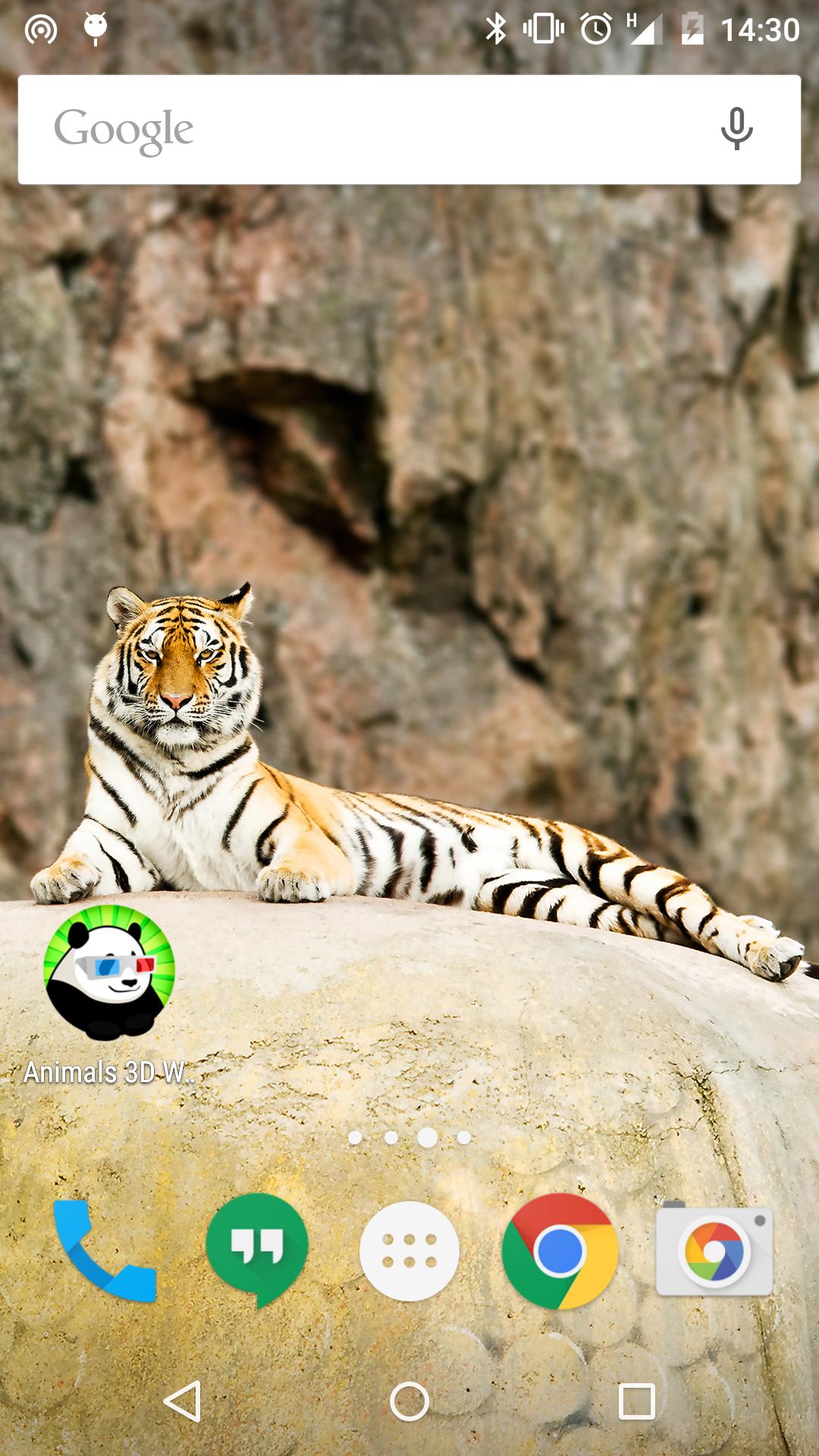 Animals 3D Wallpapers