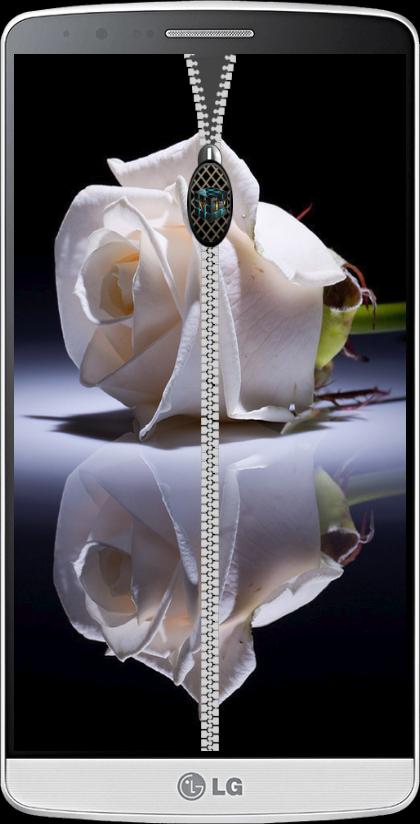 Rose  Roses zipper lock screen